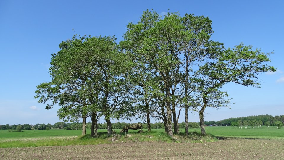 Image of Großenhain (Chambered Tomb) by Nucleus