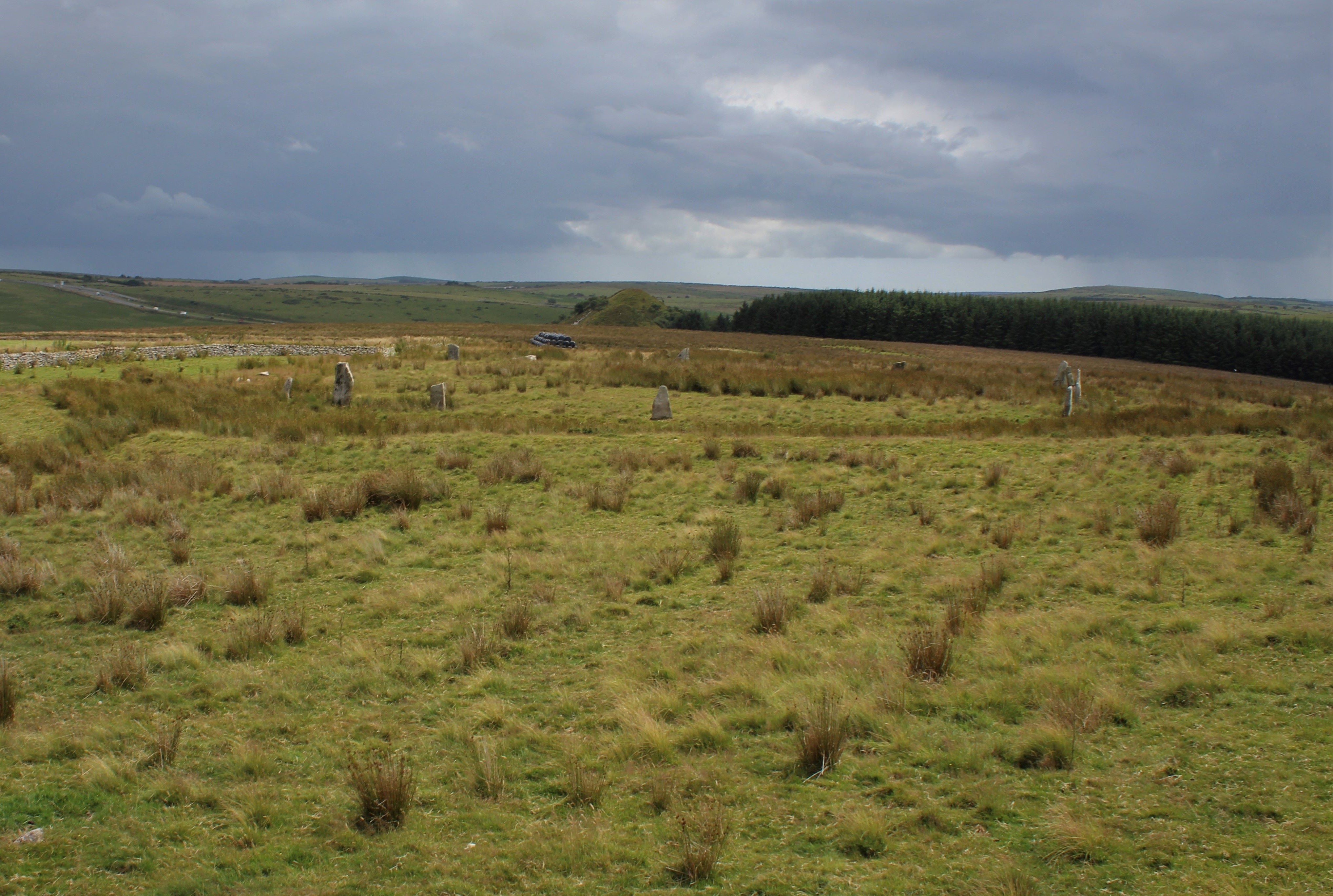 Image of Stripple Stones (Stone Circle) by postman