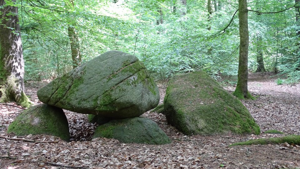 Image of Wingst (Chambered Tomb) by Nucleus