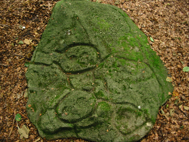 Image of Ecclesall Woods (Cup and Ring Marks / Rock Art) by stubob