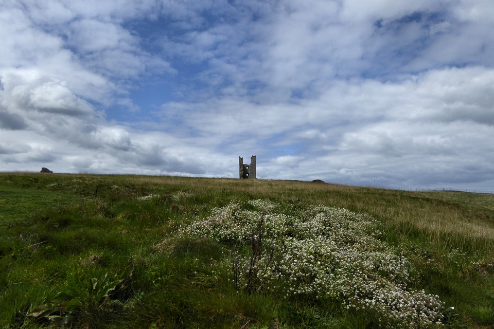 Image of Dunstanburgh Castle (Promontory Fort) by thesweetcheat