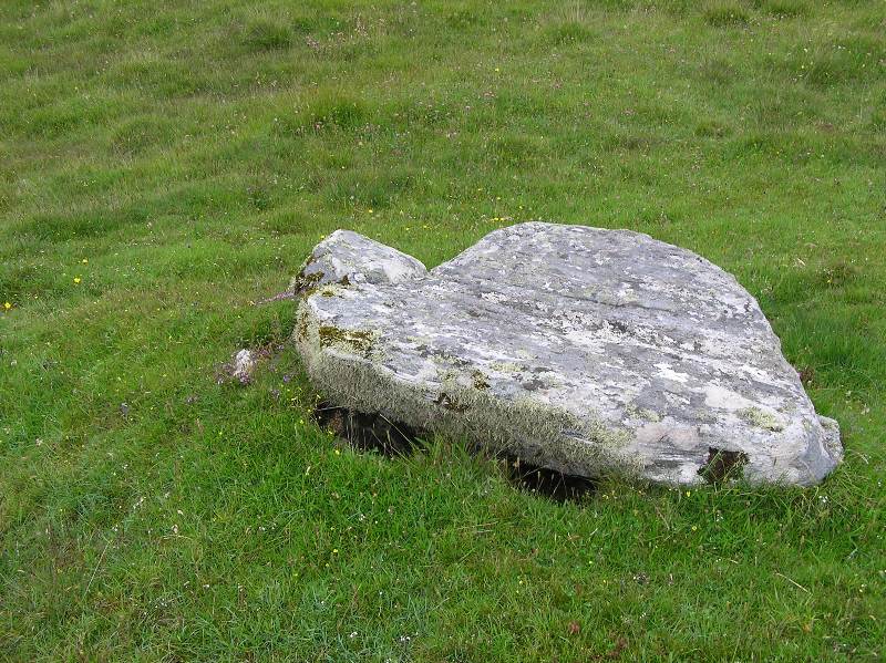 Image of Loch Borve (Chambered Cairn) by drewbhoy