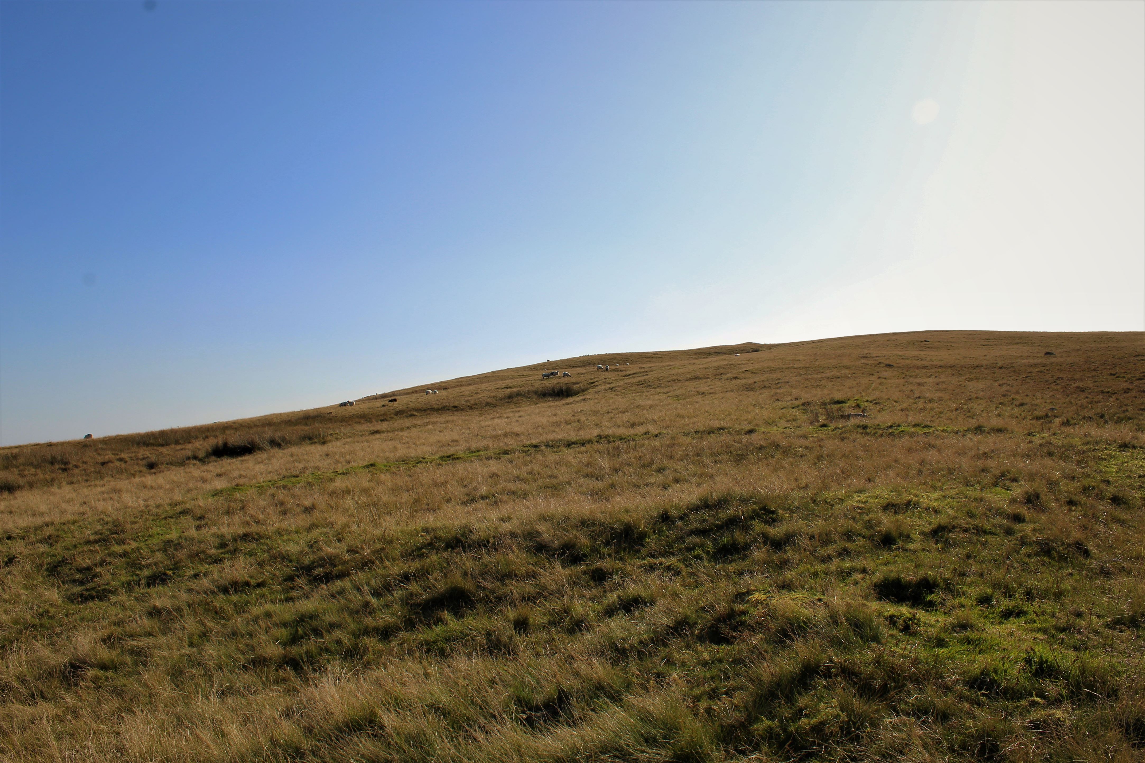Image of Bleaberry Haws Ringcairn (Ring Cairn) by postman