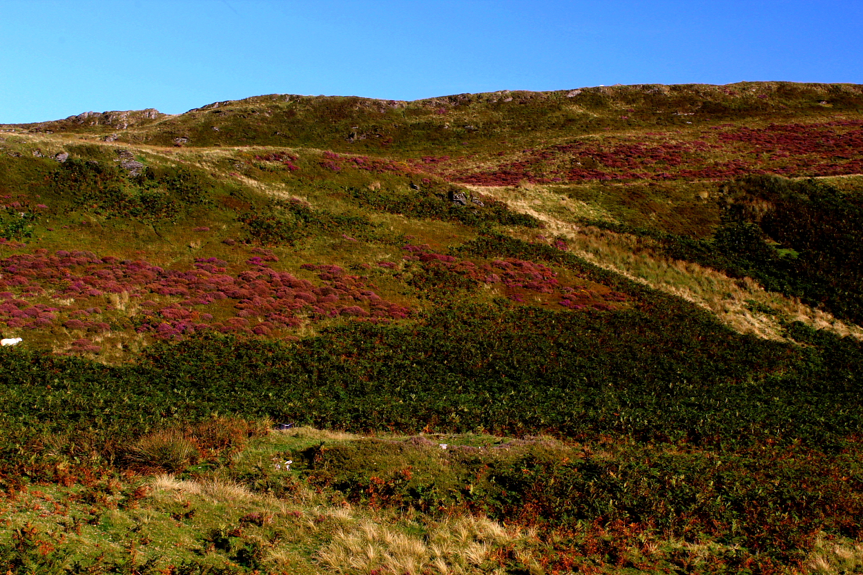 Image of Carn Dolgau (Round Cairn) by GLADMAN