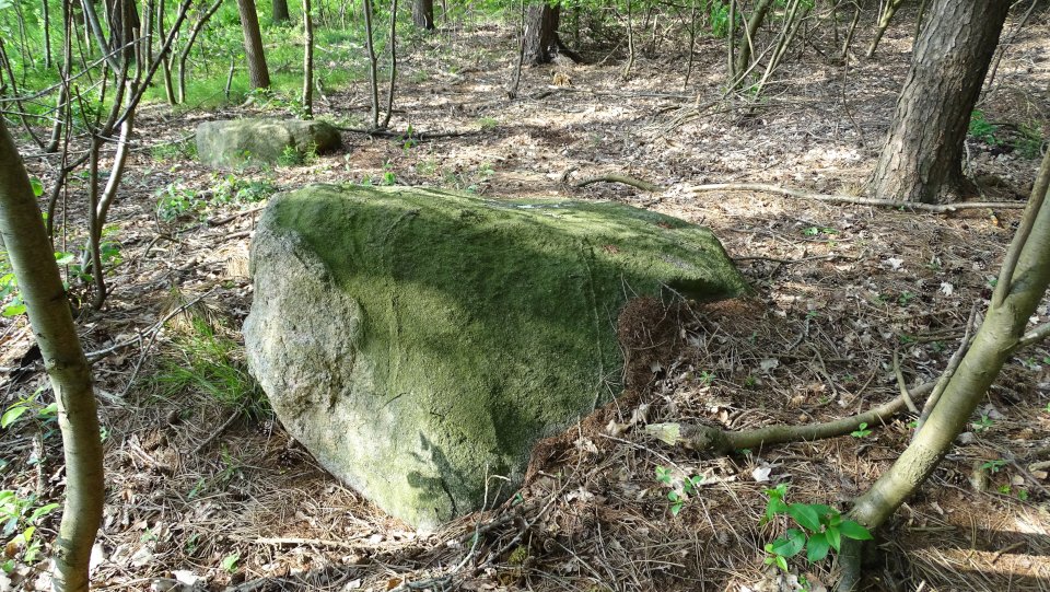 Image of Westerwanna 08 (Chambered Tomb) by Nucleus