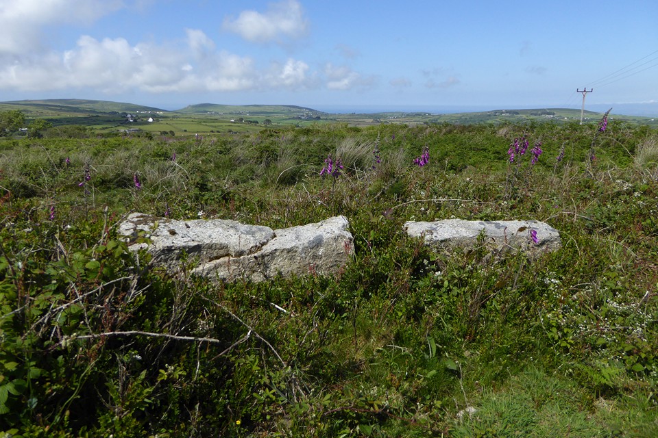 Image of Tonkins Downs (Kerbed Cairn) by thesweetcheat
