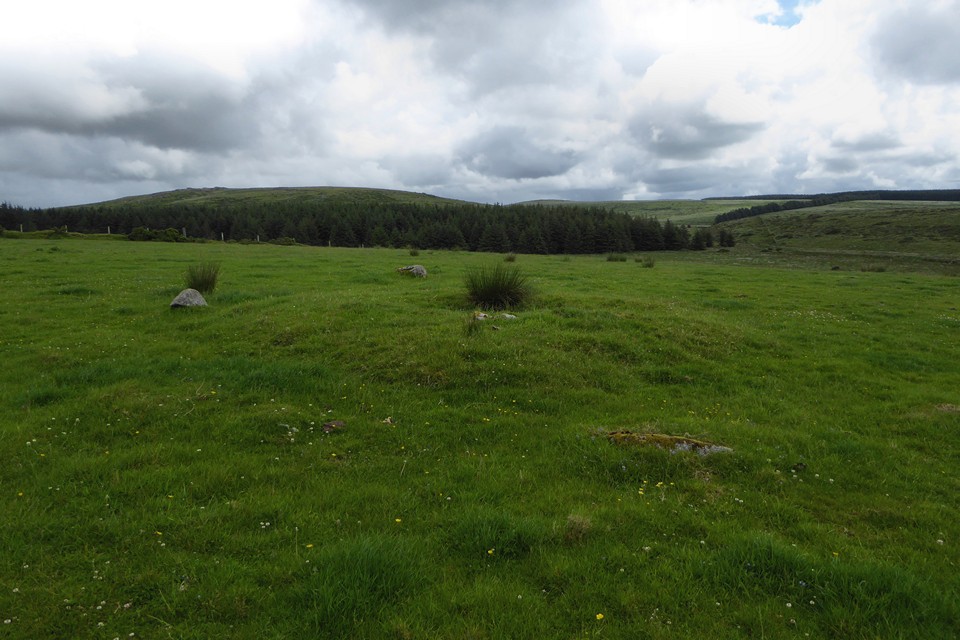 Image of Leaze (Stone Circle) by thesweetcheat