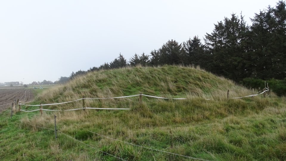 Image of Süddorf – Heeshugh (Round Barrow(s)) by Nucleus