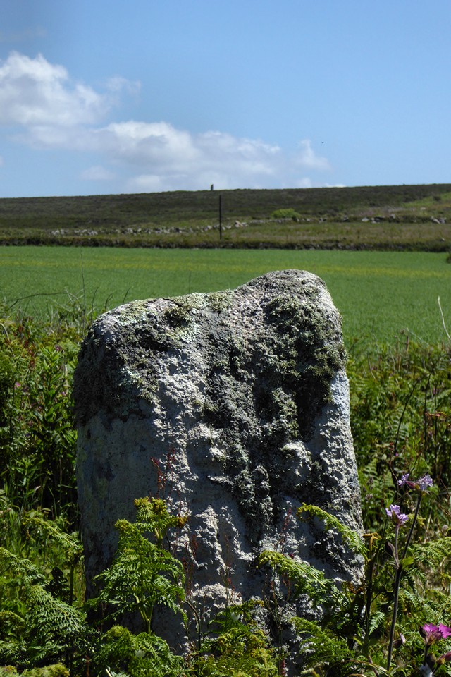 Image of Boslow Stone (Standing Stone / Menhir) by thesweetcheat