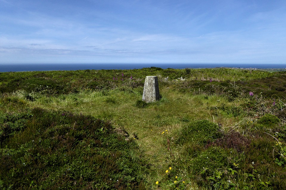 Image of Bartinne Castle Enclosure by thesweetcheat