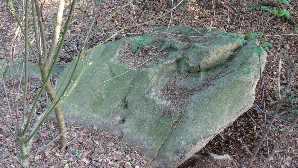 Image of Bexhövede 1 (Chambered Tomb) by Nucleus