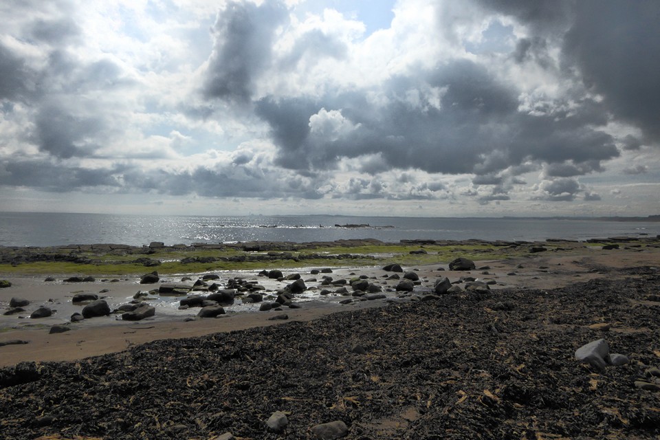 Image of Low Hauxley Submerged Forest (Mesolithic site) by thesweetcheat