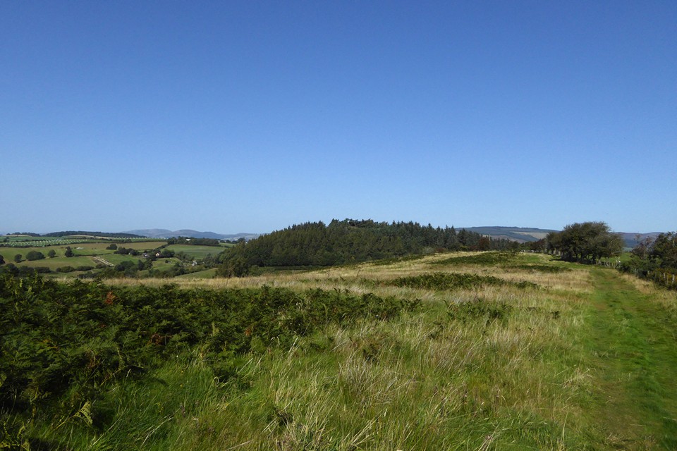 Image of Wart Hill Camp (Hillfort) by thesweetcheat