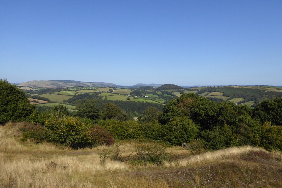 Image of Burrow (Hillfort) by thesweetcheat