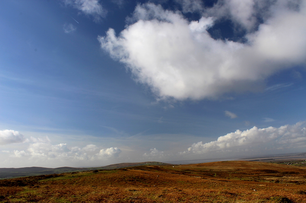 Image of Cefn Bryn (East) (Cairn(s)) by GLADMAN