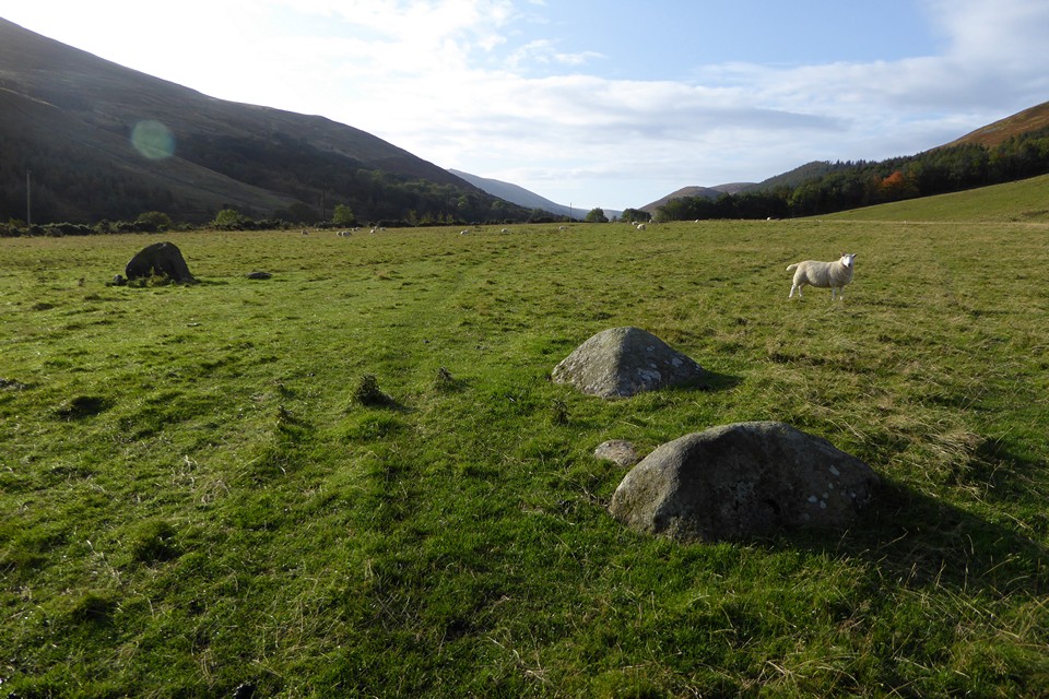 Image of Hethpool (Stone Circle) by thesweetcheat