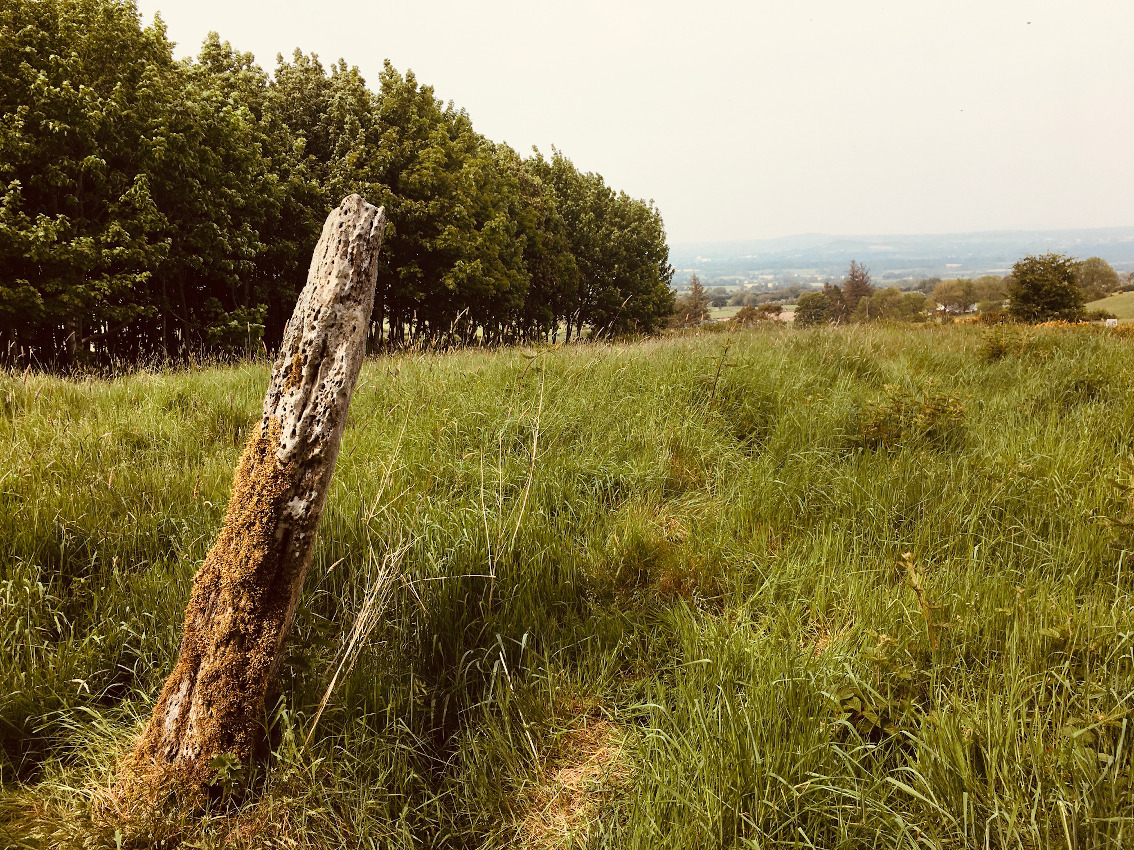 Image of Patrickstown Standing Stone by ryaner