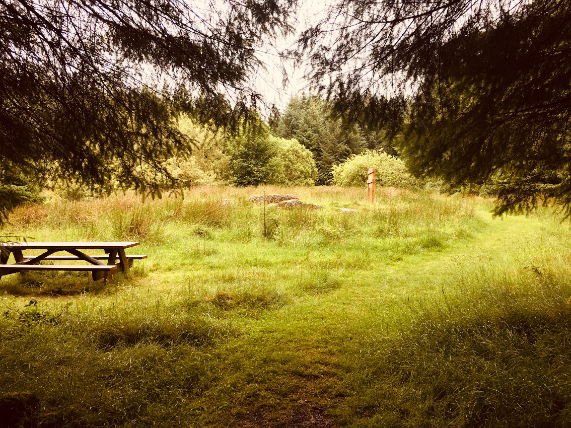Image of Killinaparson (Cist) by ryaner