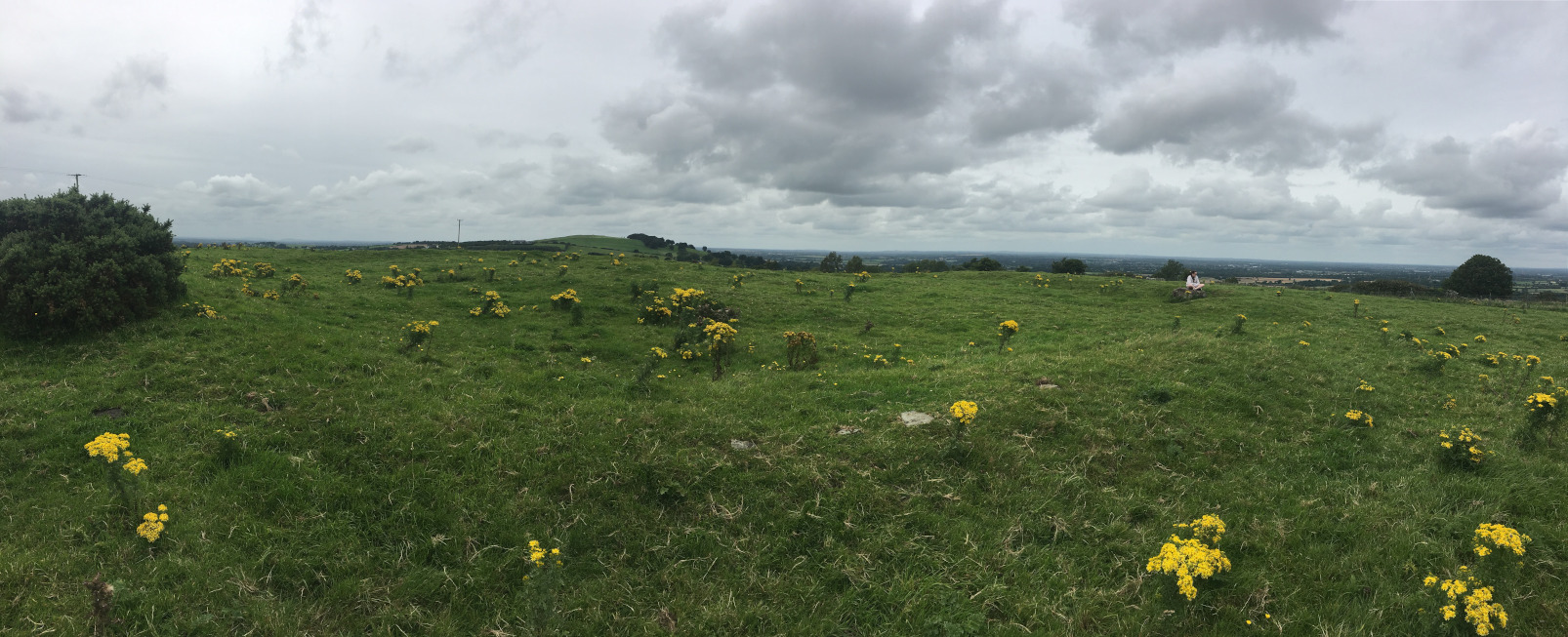 Image of Athgoe Hill (Round Barrow(s)) by ryaner