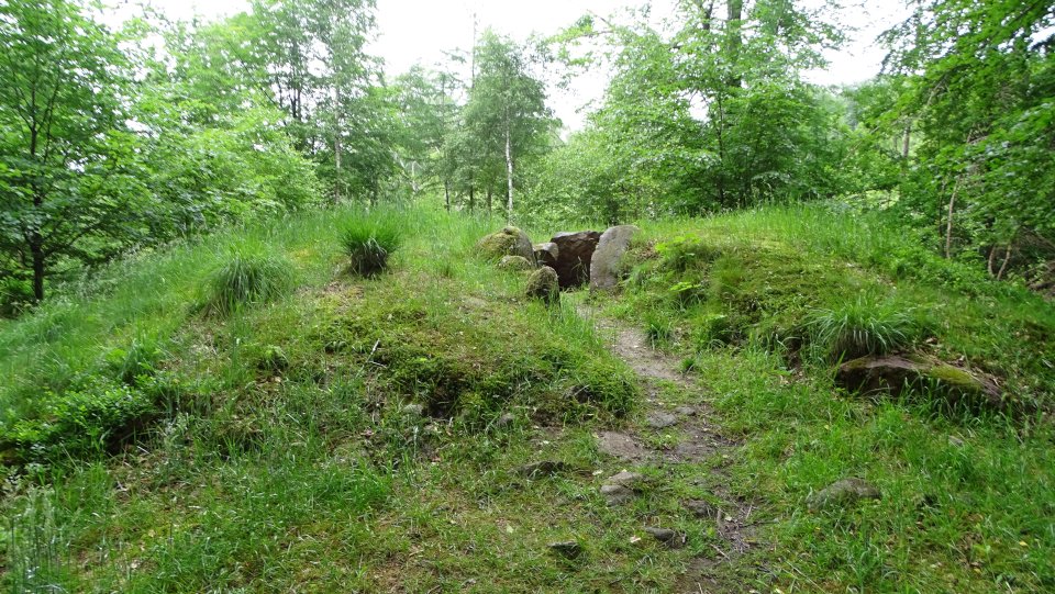 Image of Glücksburg 01 (Dolmen / Quoit / Cromlech) by Nucleus