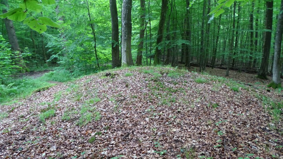 Image of Glücksburg 08 (Round Barrow(s)) by Nucleus