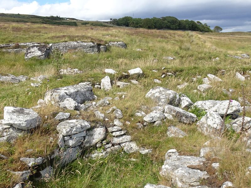 Image of Wag of Forse (Stone Fort / Dun) by LesHamilton
