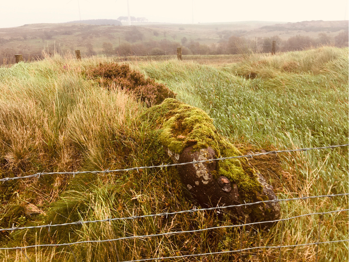 Image of Shantavny Scotch (Wedge Tomb) by ryaner
