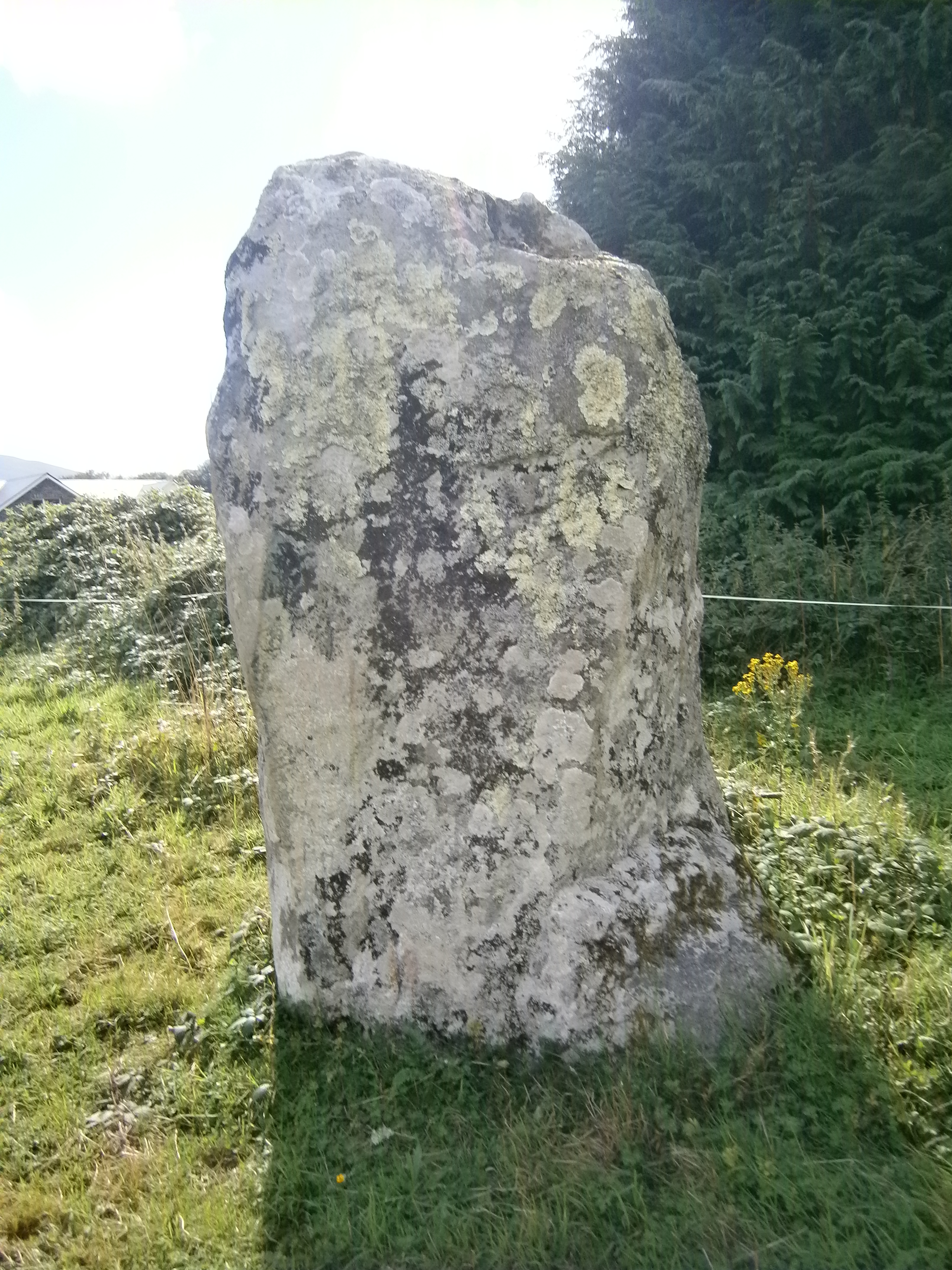 Image of Fossa (Standing Stone / Menhir) by markj99