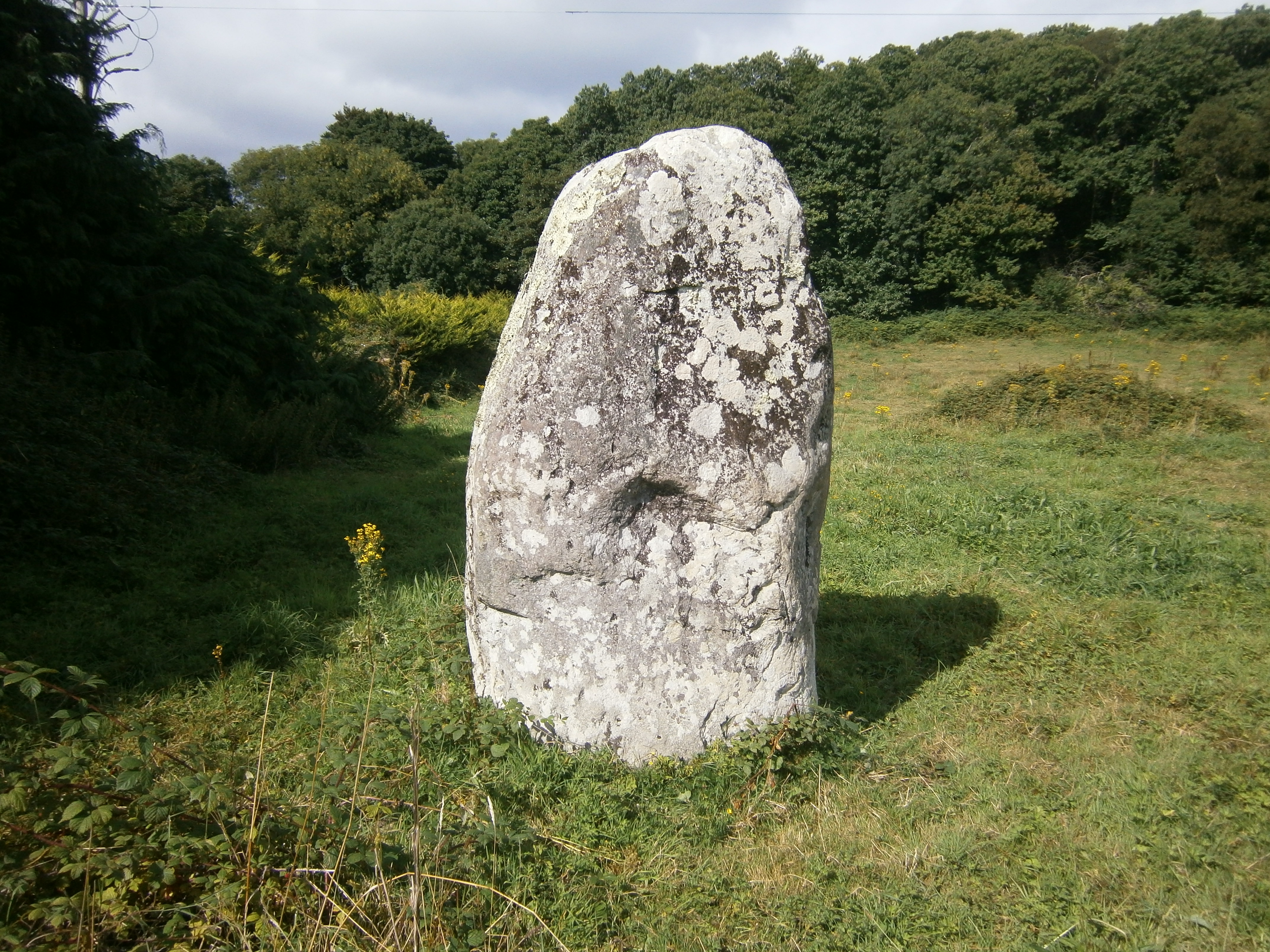 Image of Fossa (Standing Stone / Menhir) by markj99