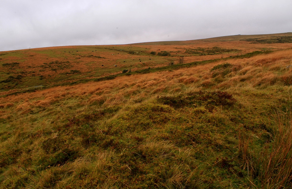 Image of Dean Moor (Cairn(s)) by GLADMAN