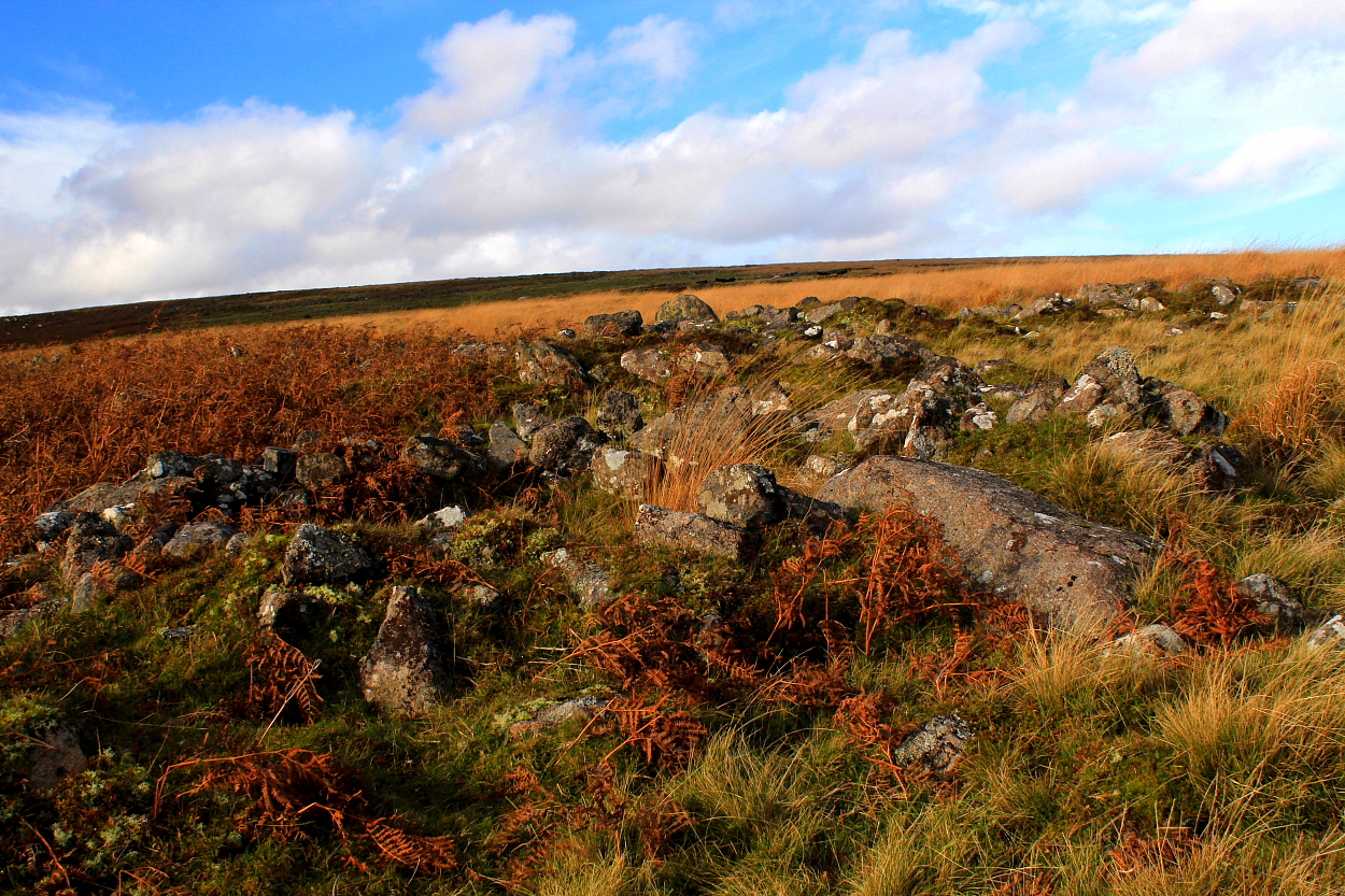 Image of Brockhill Foot West (Ancient Village / Settlement / Misc. Earthwork) by GLADMAN