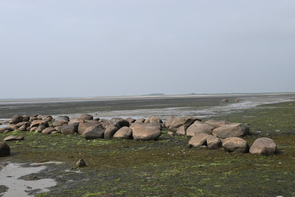 Image of Archsum 3 (Dolmen / Quoit / Cromlech) by Nucleus