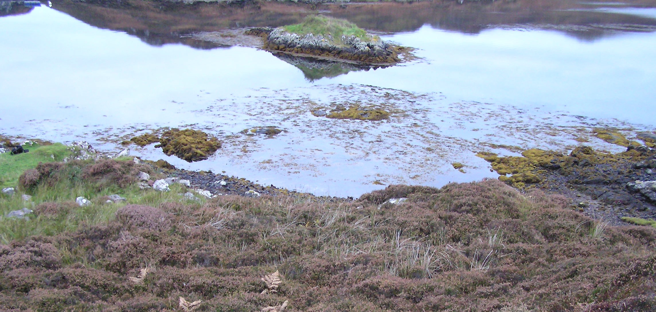 Image of Rubha Creag Iomhair (Stone Fort / Dun) by drewbhoy