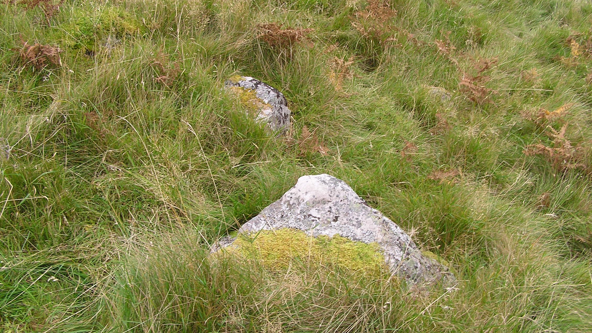 Image of Achmore Farm (Kerbed Cairn) by drewbhoy