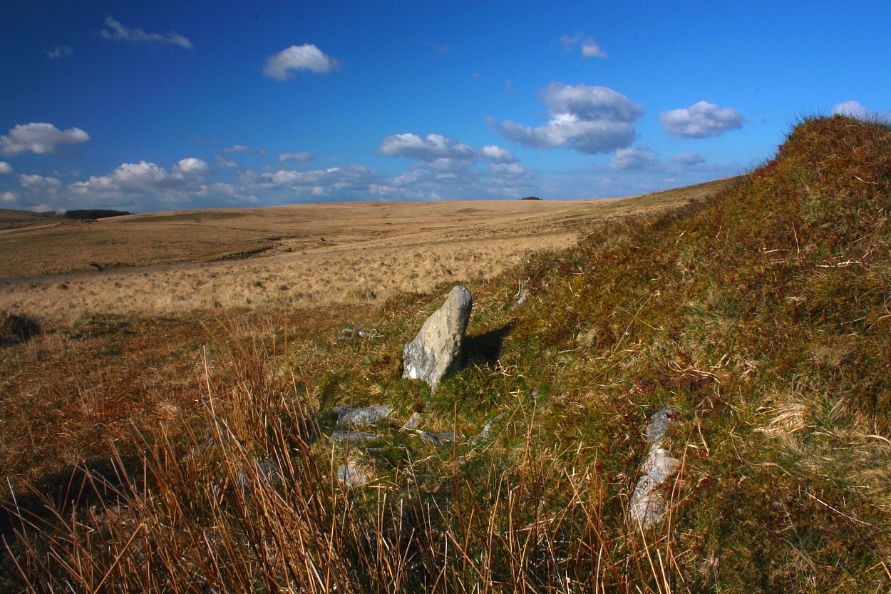 Image of Raddick Hill (Cairn(s)) by GLADMAN
