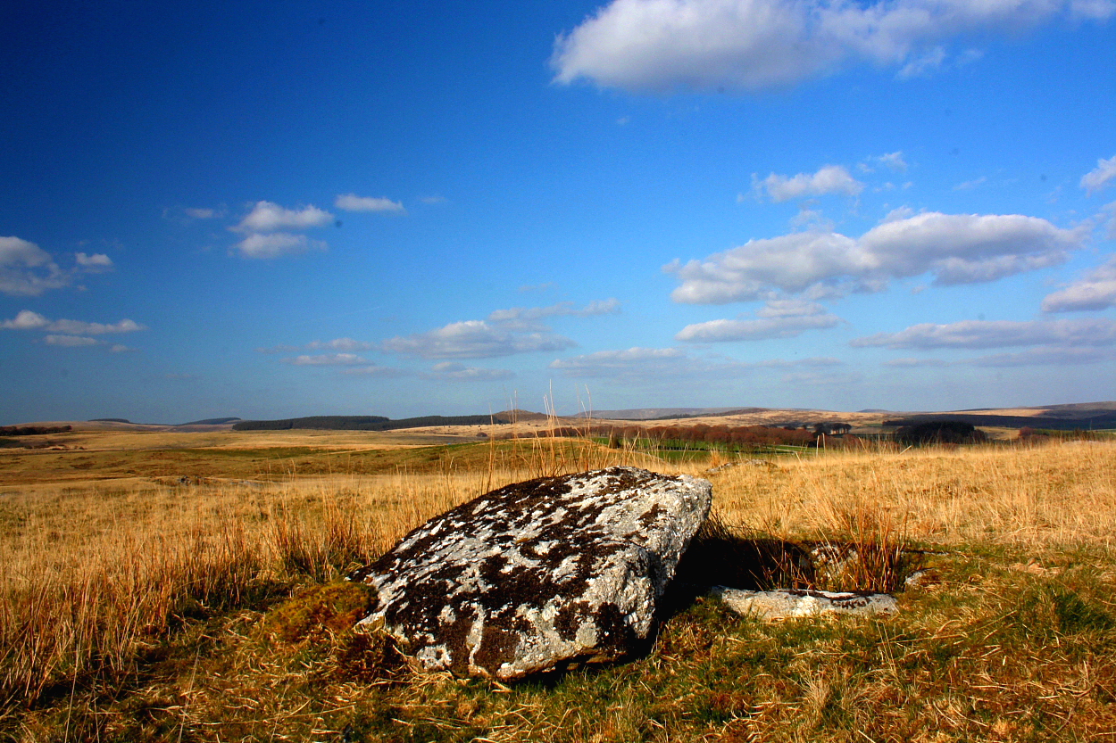 Image of Blakey Tor (Cist) by GLADMAN