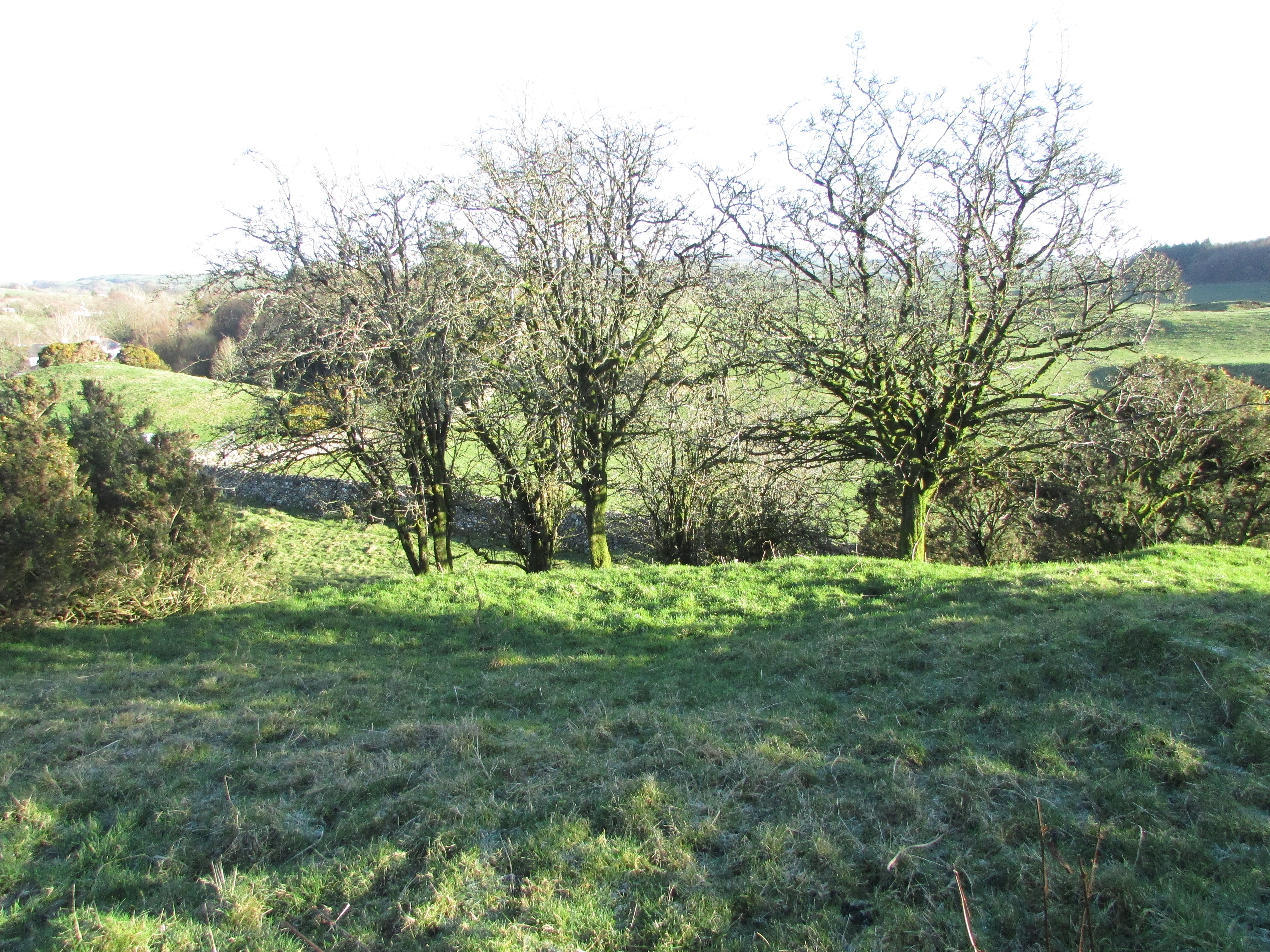 Image of Arden Fort (Hillfort) by markj99