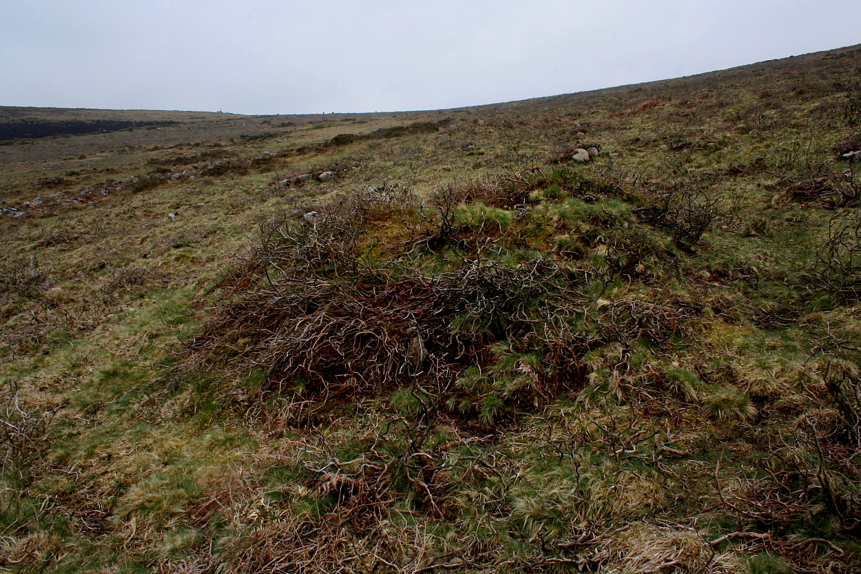 Image of Yar Tor (Stone Row / Alignment) by GLADMAN