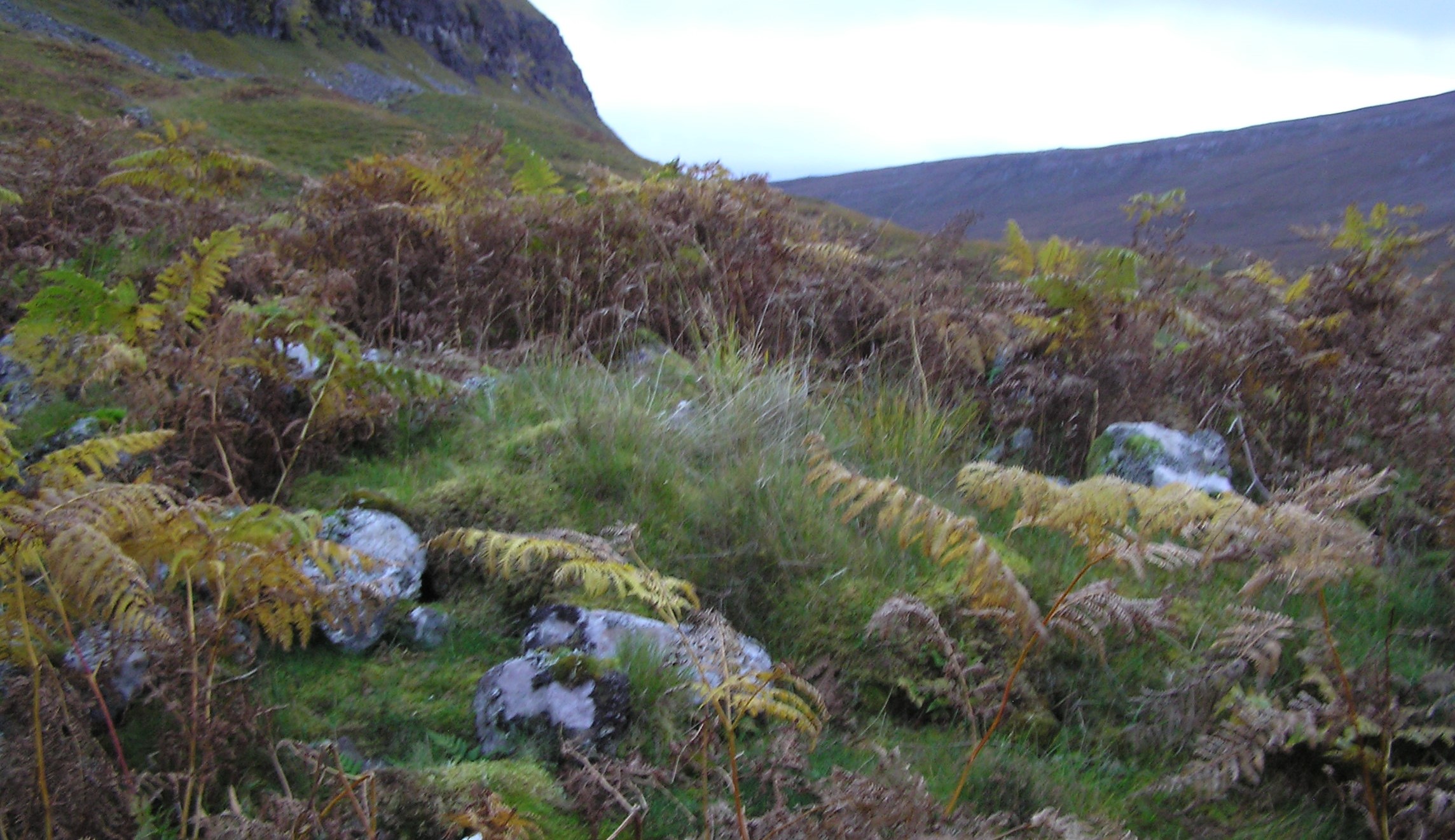 Image of Creag Sron Chrubaidh (Cairn(s)) by drewbhoy