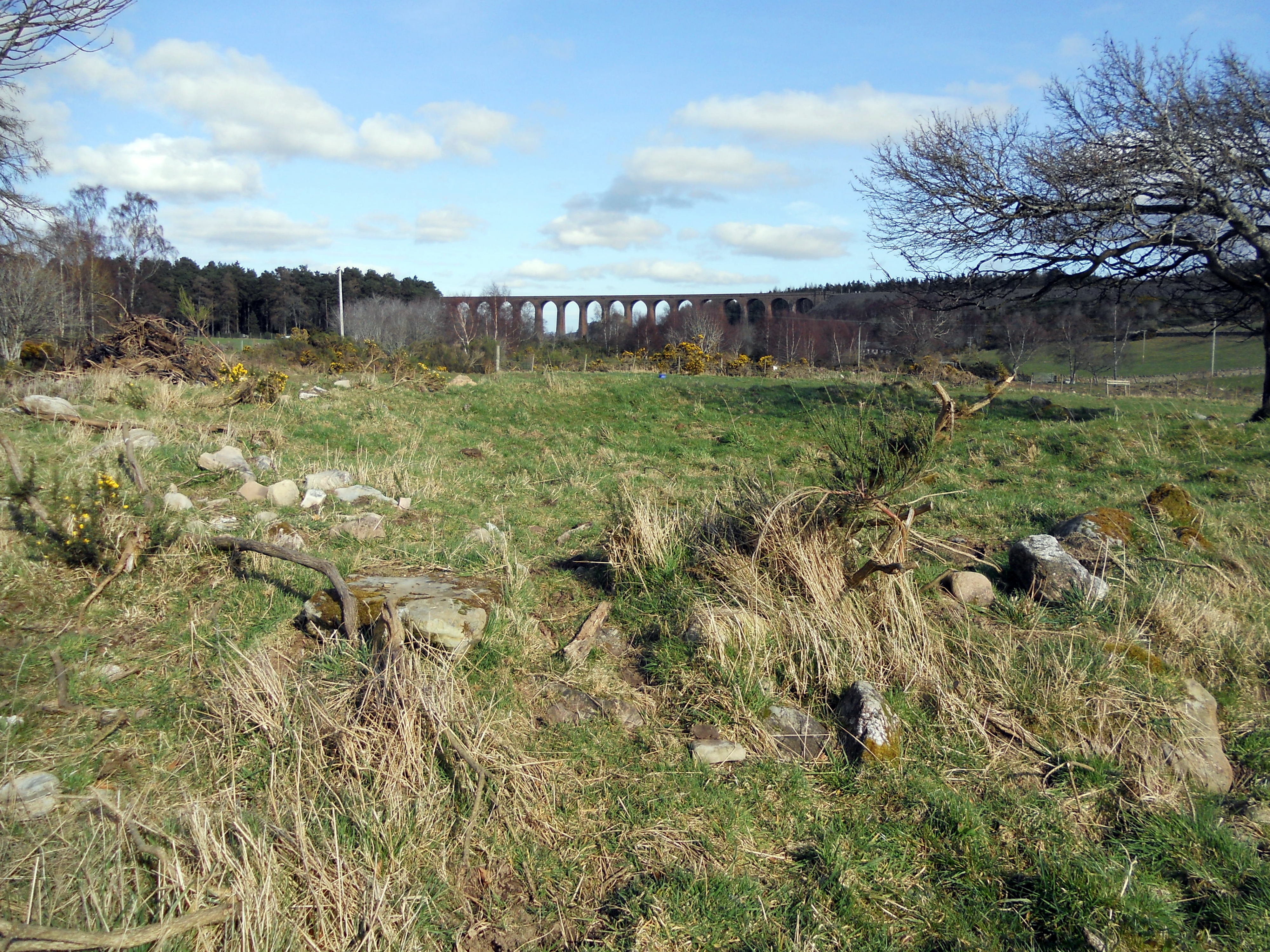 Image of Mains of Clava SW (Ring Cairn) by markj99