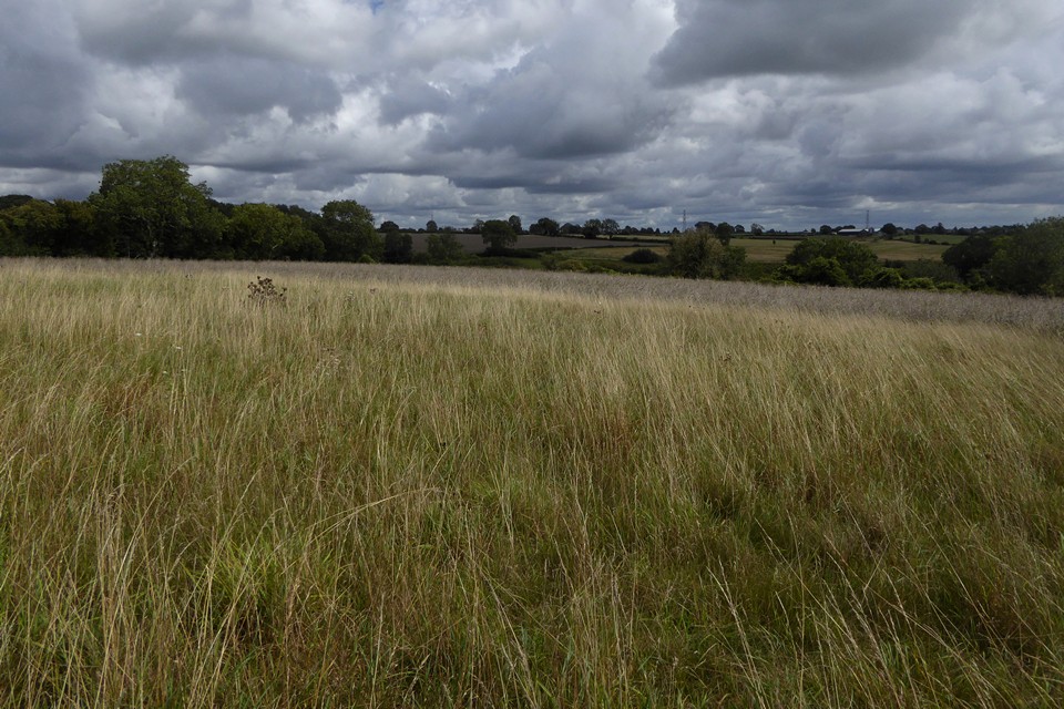 Image of Cotswold Park (Long Barrow) by thesweetcheat