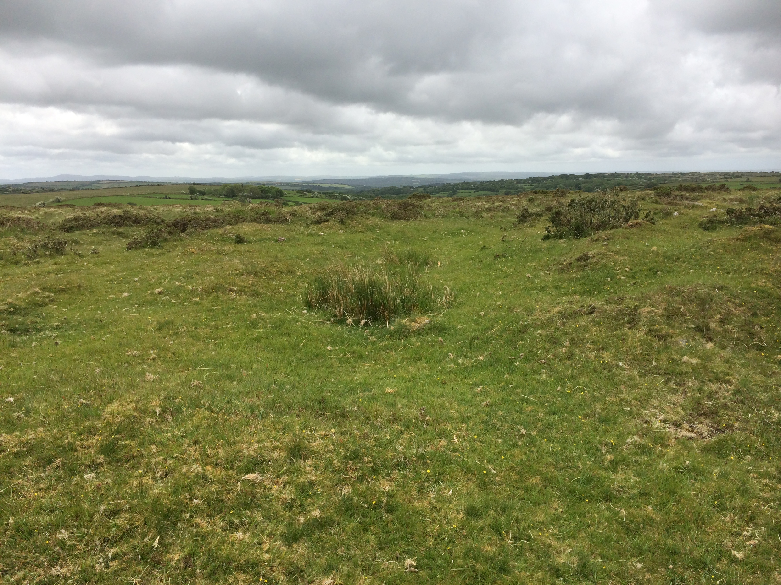 Image of Manor Common (Round Barrow(s)) by markj99