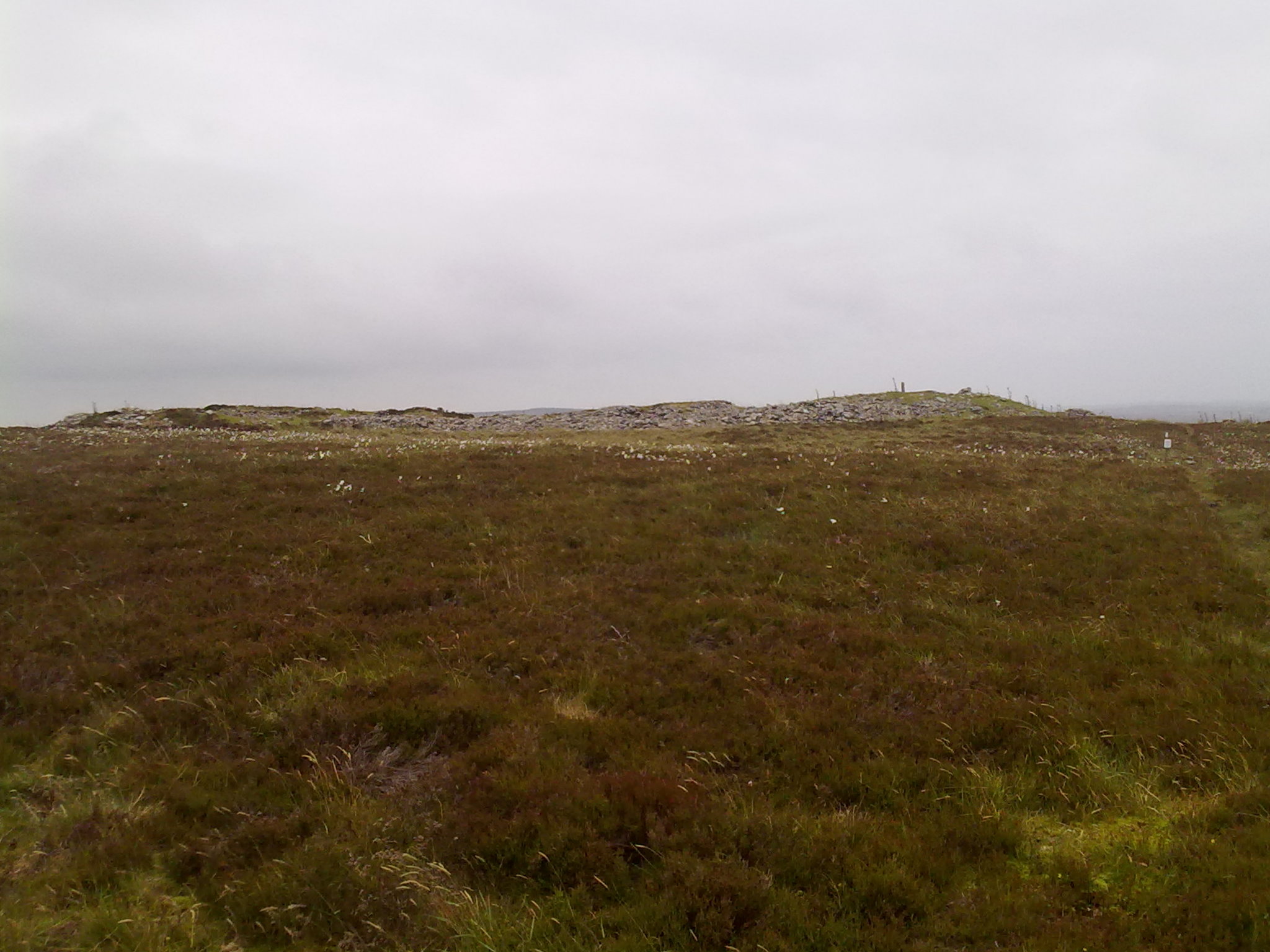 Image of South Yarrows S (Chambered Tomb) by markj99