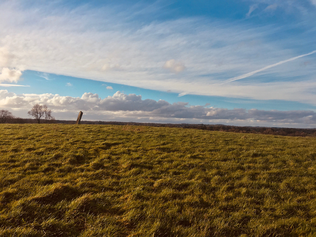 Image of Mullaghey (Standing Stone / Menhir) by ryaner