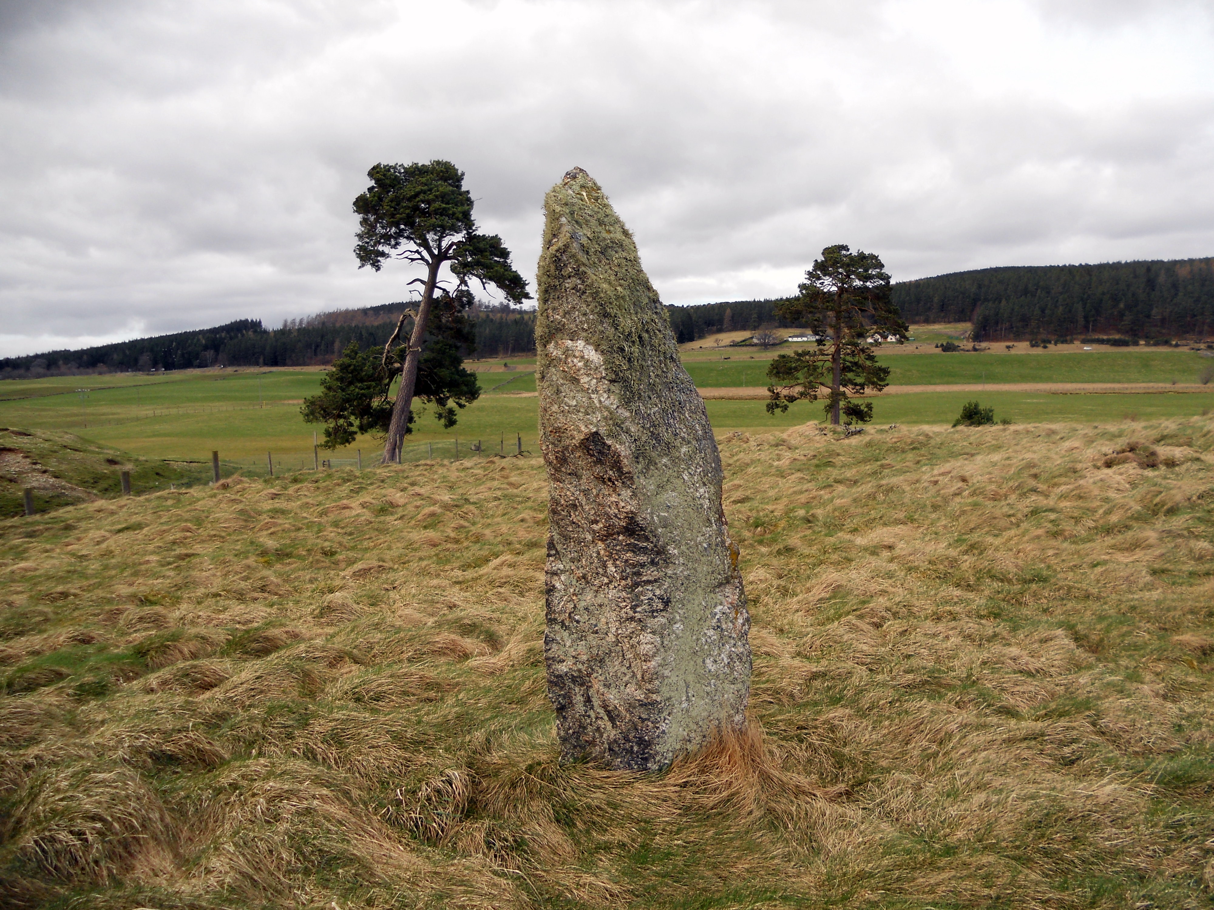 Image of Tom Nan Carragh (Stone Row / Alignment) by markj99