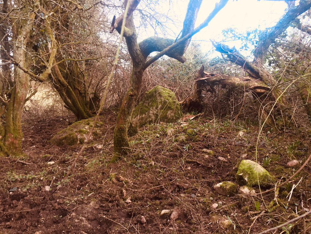 Image of Clonasillagh Cairn (Cairn) by ryaner