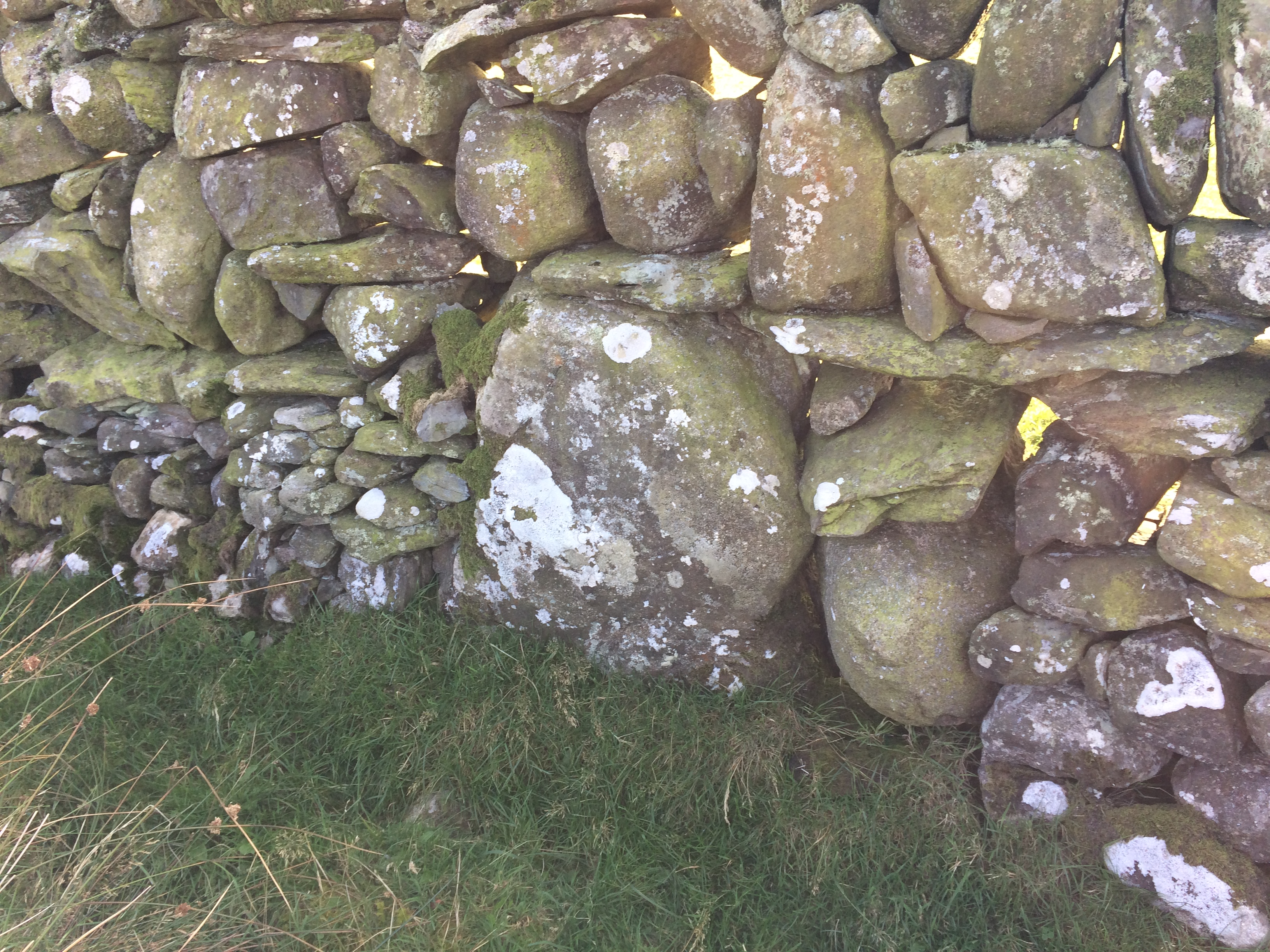 Image of Bagbie Wall Stone (Standing Stone / Menhir) by markj99