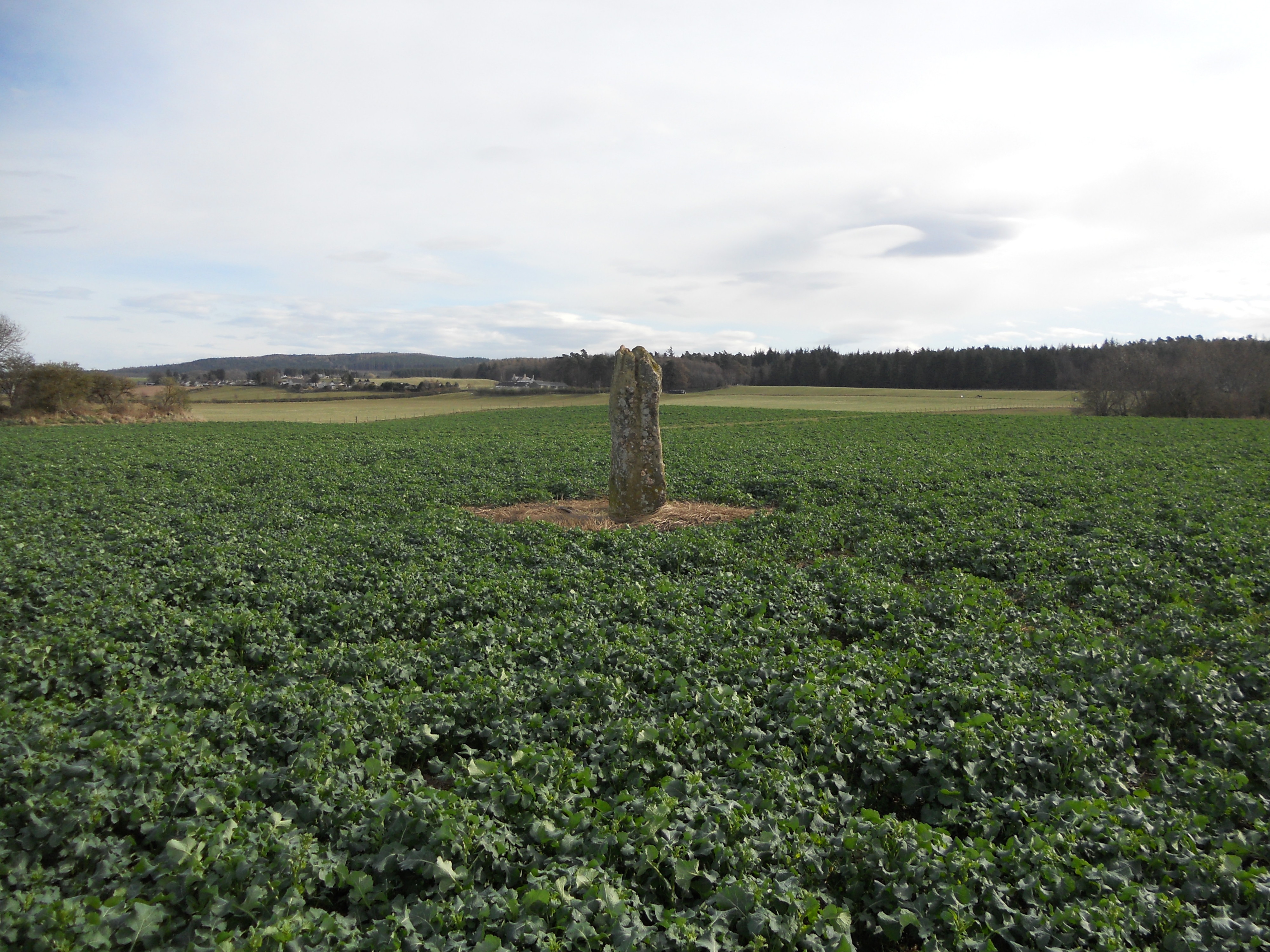 Image of Balnaroid (Standing Stone / Menhir) by markj99