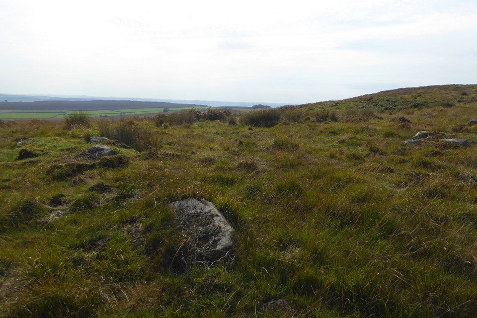 Image of Barbrook V (Ring Cairn) by thesweetcheat