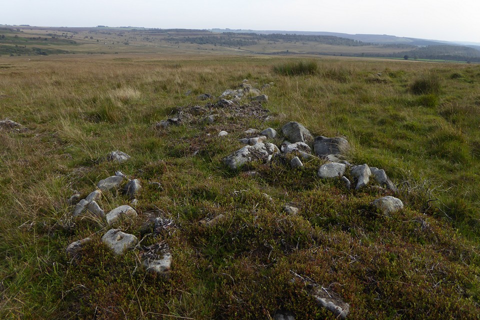 Image of Swine Sty (Ancient Village / Settlement / Misc. Earthwork) by thesweetcheat